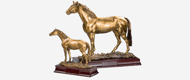 Sporthaus Verden - Trophäe Warmbluete Sporthaus Verden - Trophäe Warmblueter