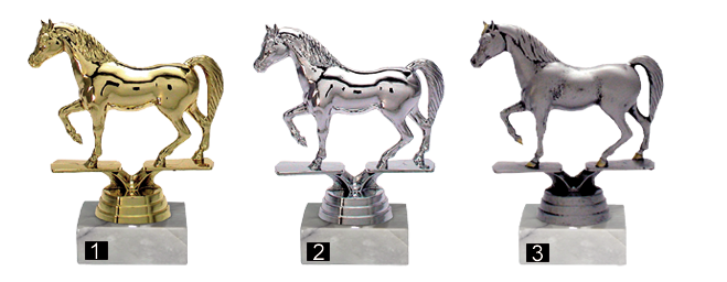 Sporthaus Verden - Trophäe Araber Sporthaus Verden - Trophäe Araber