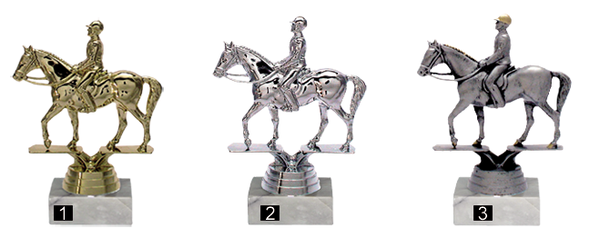 Sporthaus Verden - Trophäe Dressur Sporthaus Verden - Trophäe Dressur