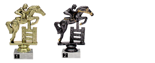 Sporthaus Verden - Trophäe Sprung Sporthaus Verden - Trophäe Sprung